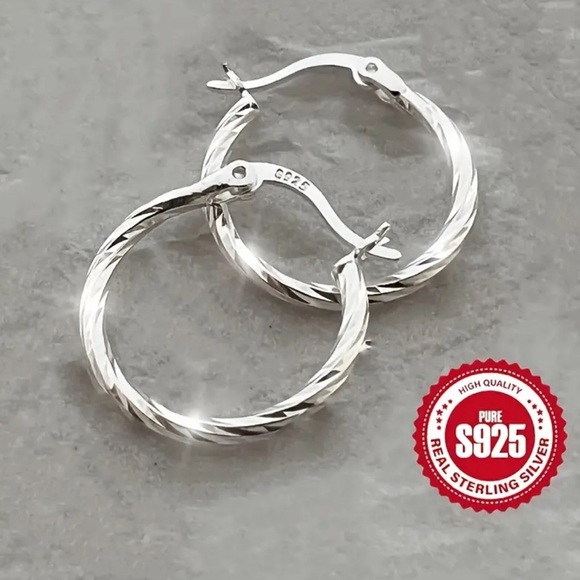Luxurious S925 Silver Geometric Twisted Hoop Earrings - Picture 2 of 4